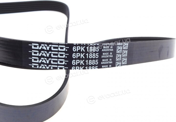 Dayco 6PK1885