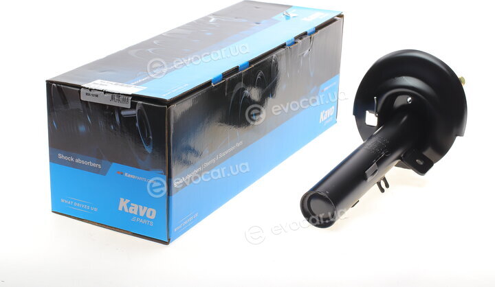 Kavo SSA-10198