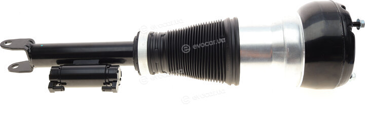 Bogap C3426132