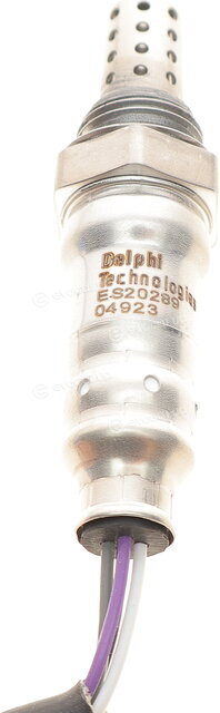 Delphi ES20289
