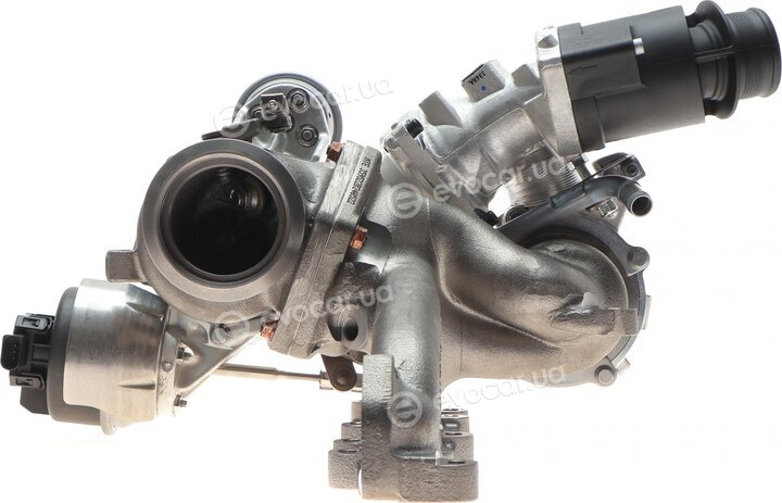 BorgWarner 10009880113