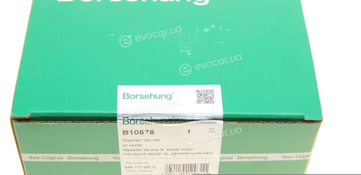 Borsehung B10878