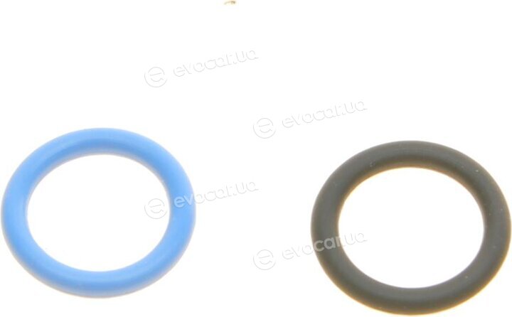 Borsehung B10471