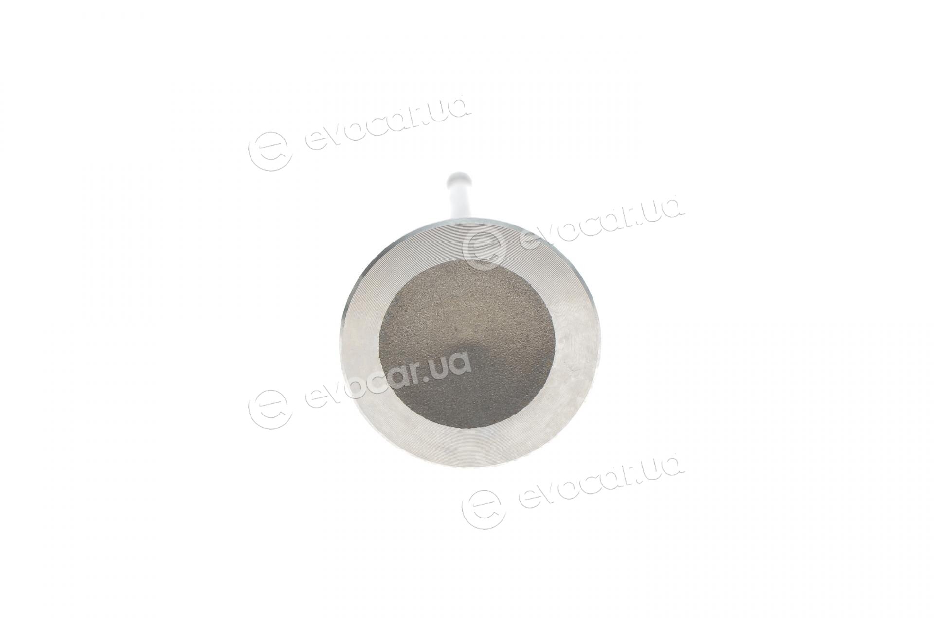 Borsehung B10351