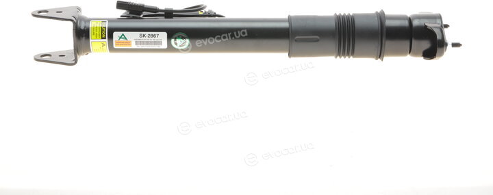Arnott SK-2867