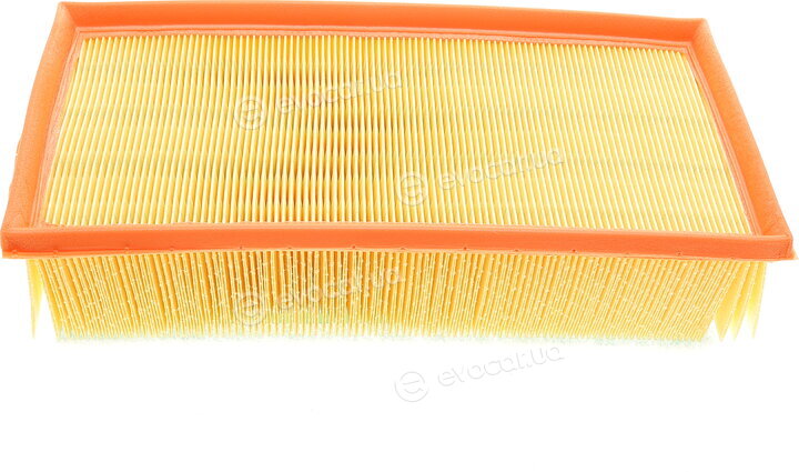 Mann C 31 145