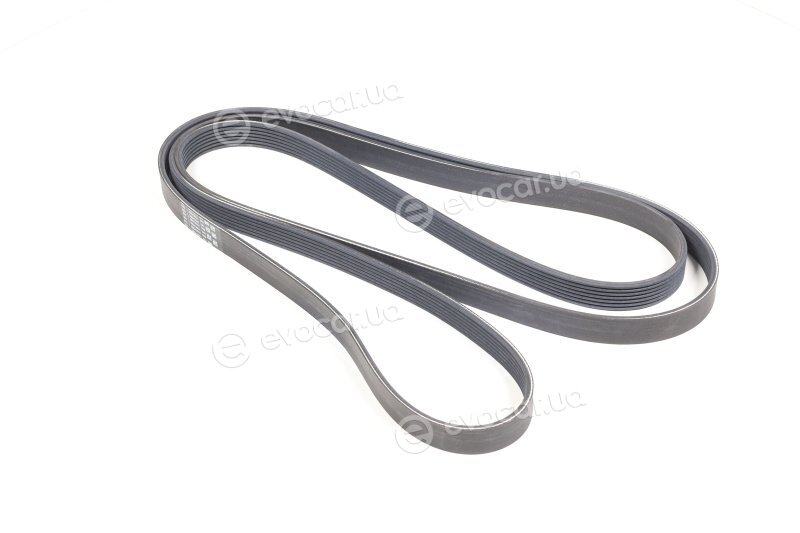 Continental 7PK2958