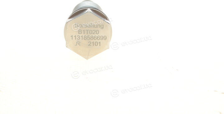 Borsehung B19295