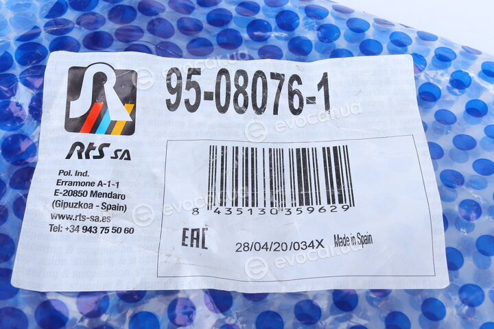 RTS 95-08076-1