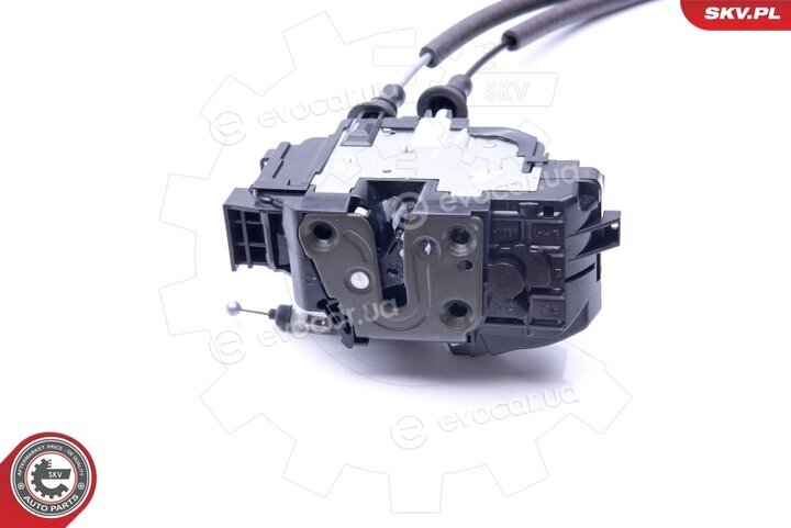 SKV 16SKV631