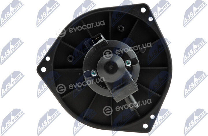 NTY EWN-MS-001
