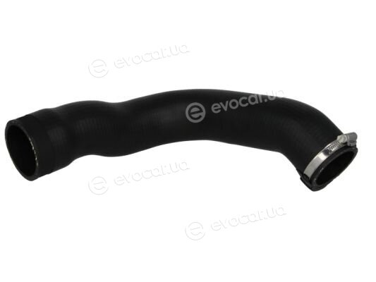Thermotec DCM038TT