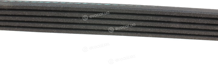 Blue Print AD05R1230