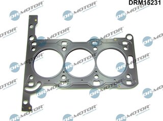Dr. Motor DRM15231