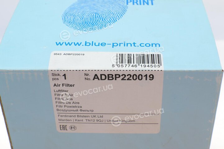 Blue Print ADBP220019