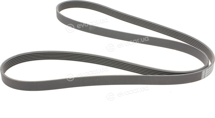 Continental 6PK1845