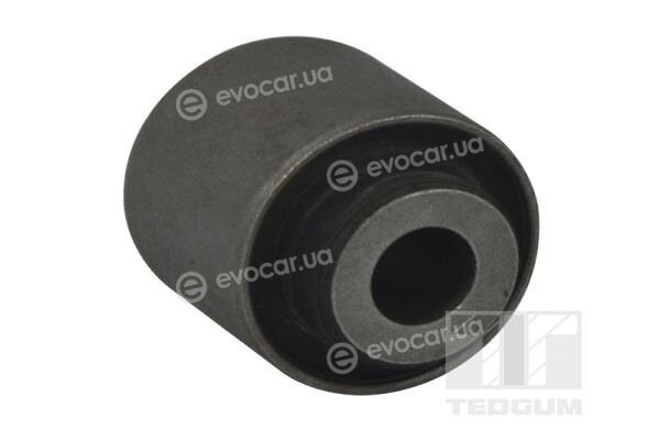 Tedgum TED80481