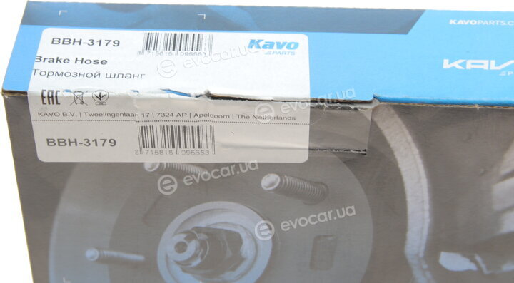Kavo BBH-3179