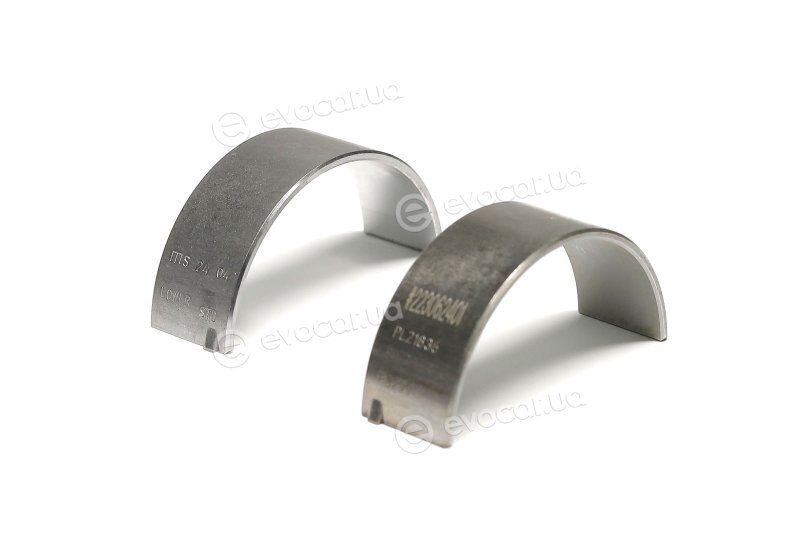 Mahle 081 PL 21836 000