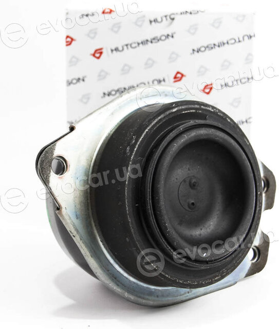 Hutchinson 586350