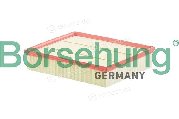 Borsehung B13204
