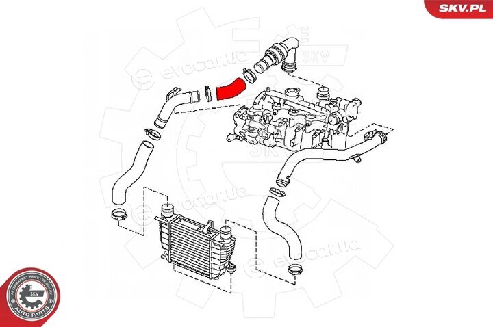 SKV 24SKV527