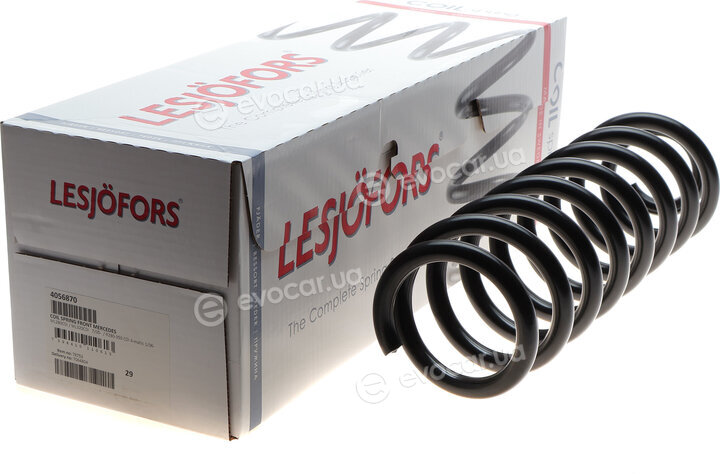 Lesjofors 4056870