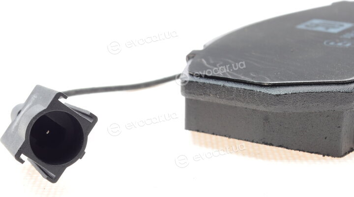 Solgy 209125