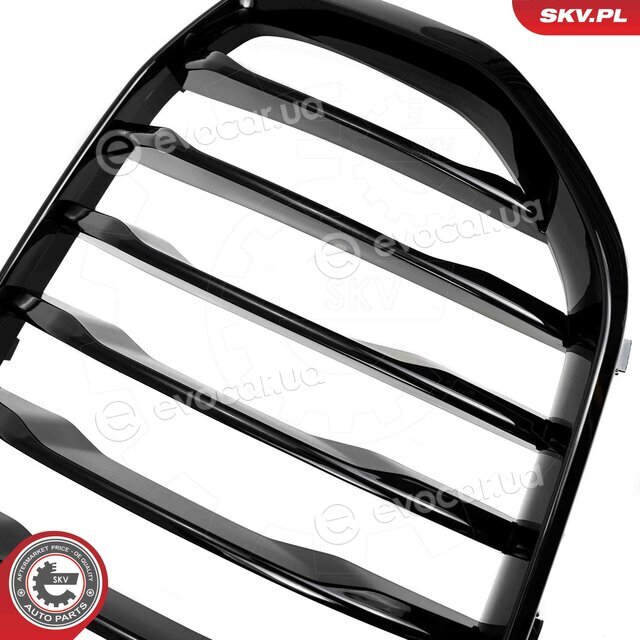SKV 66SKV300