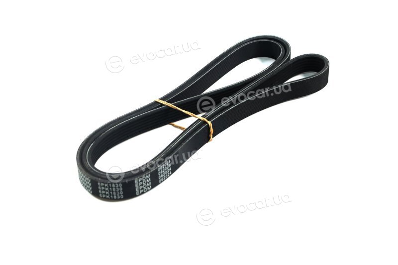 Denckermann 6PK1830