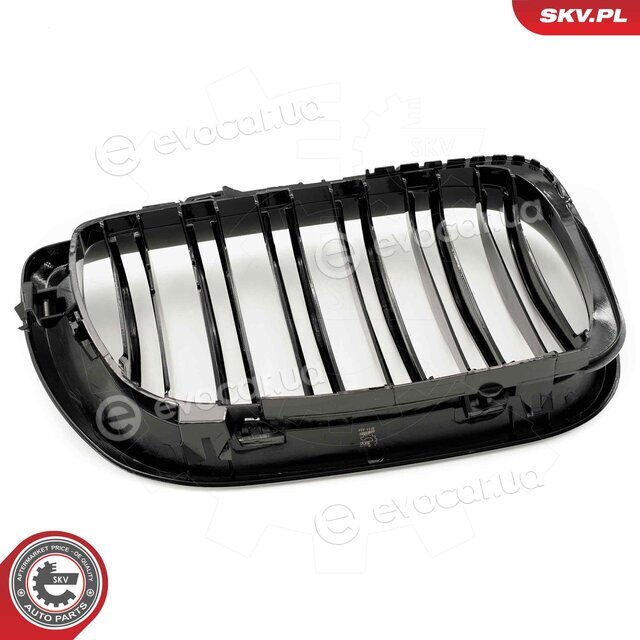 SKV 66SKV081