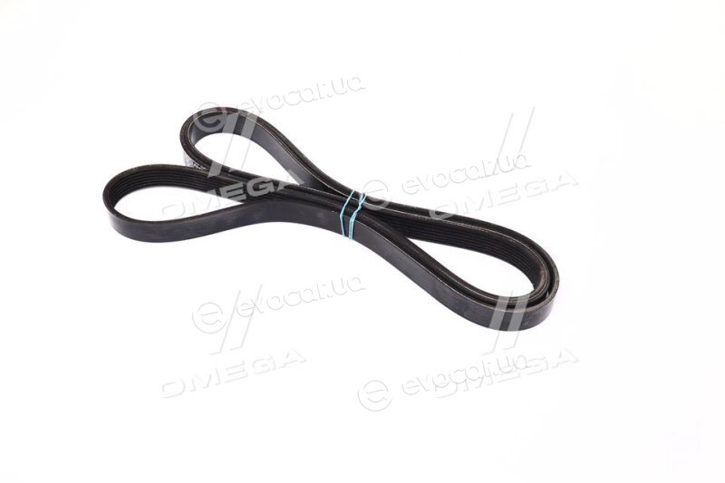 Dayco 7PK2342