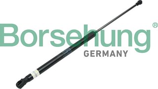 Borsehung B14189