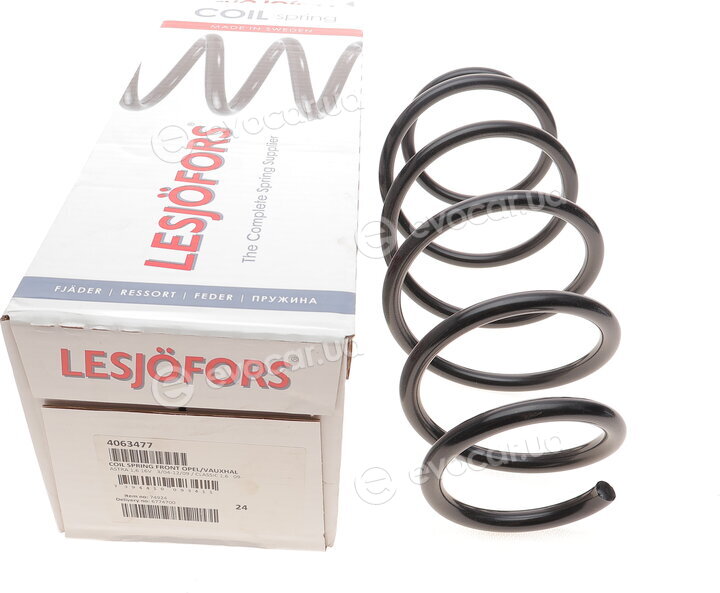 Lesjofors 4063477