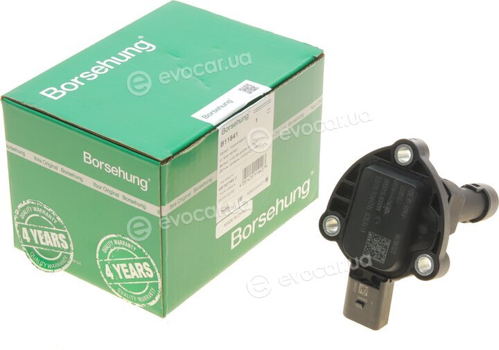 Borsehung B11841