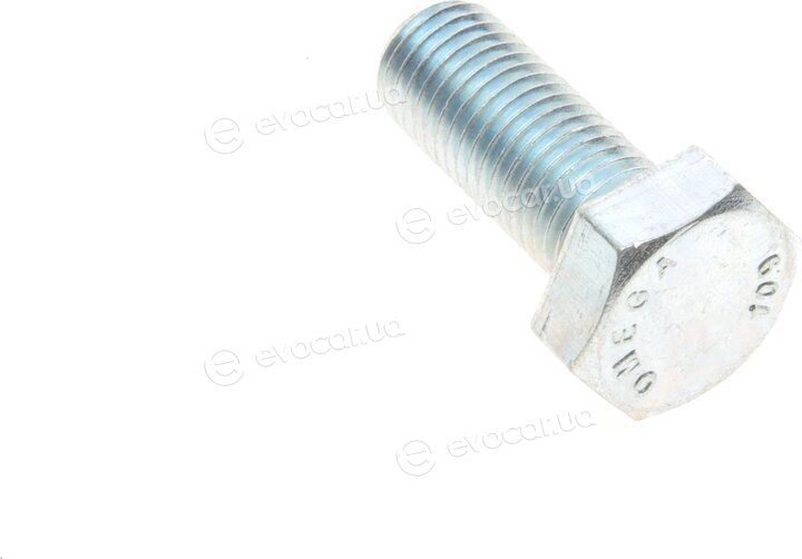 Solgy 203107