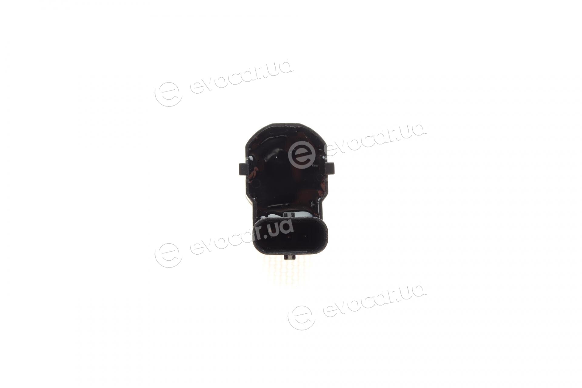 AIC 55341