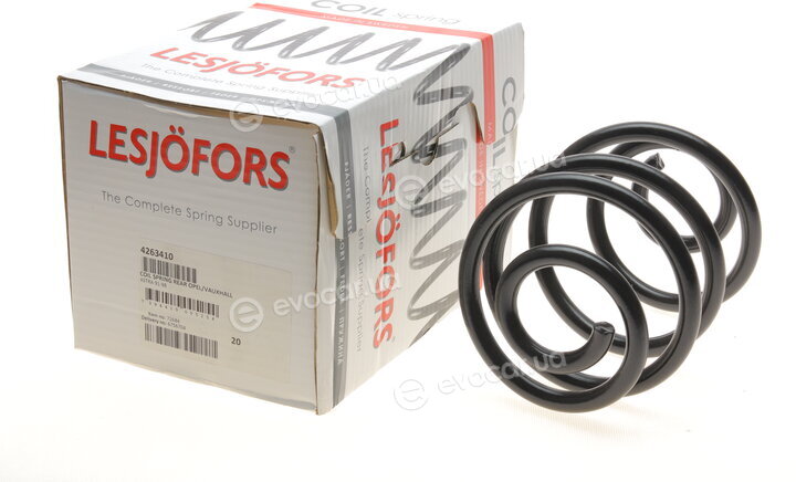 Lesjofors 4263410