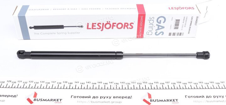 Lesjofors 8144217