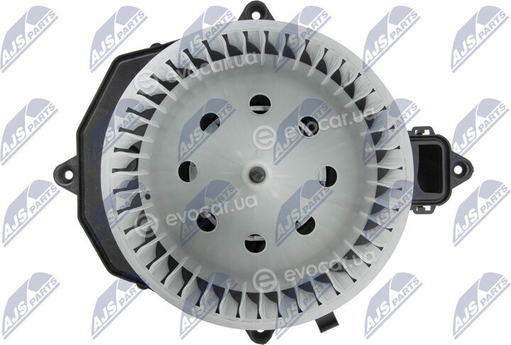 NTY EWN-CT-002