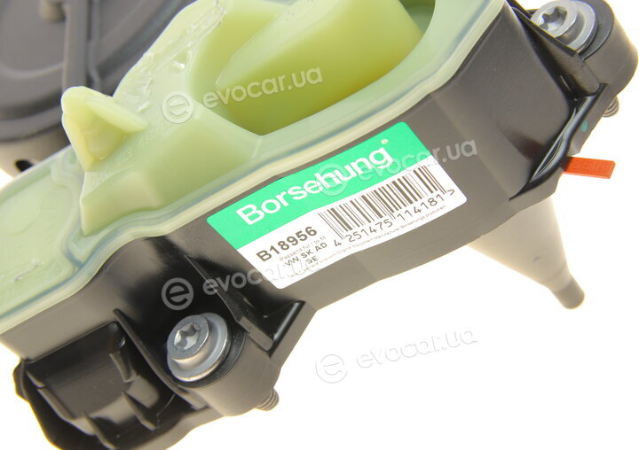 Borsehung B18956
