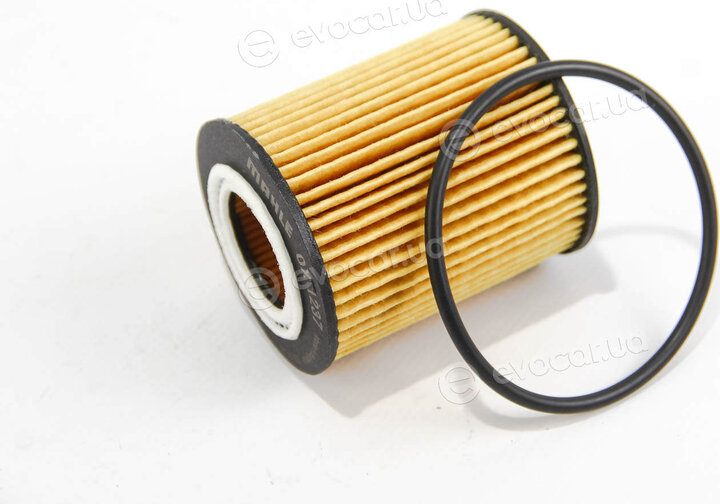 Mahle OX 1237D