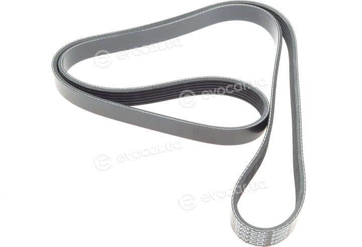 Dayco 6PK1625