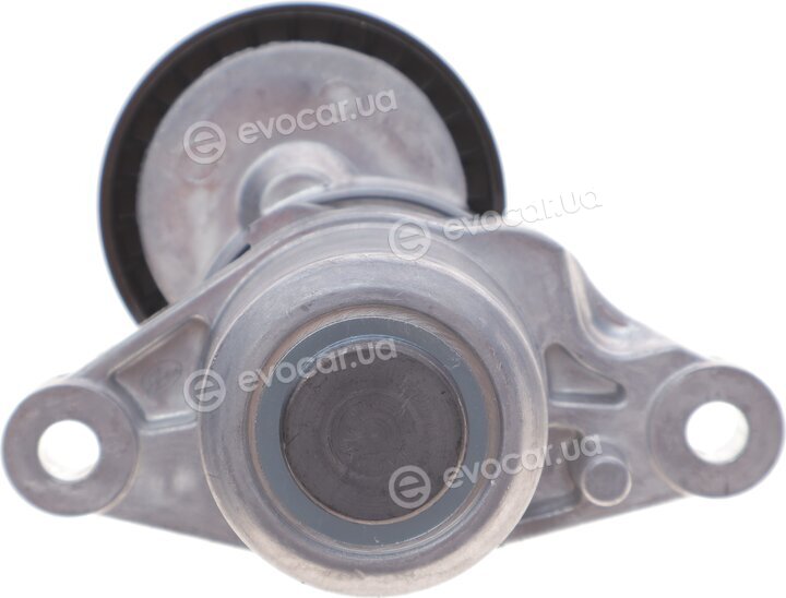Dayco APV3861