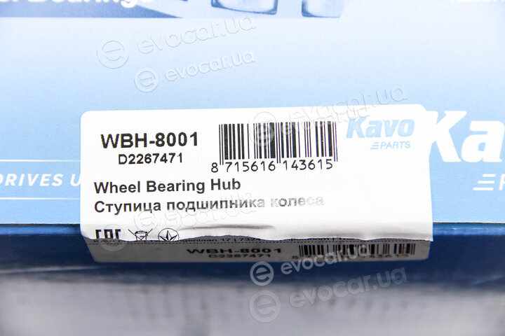 Kavo WBH-8001