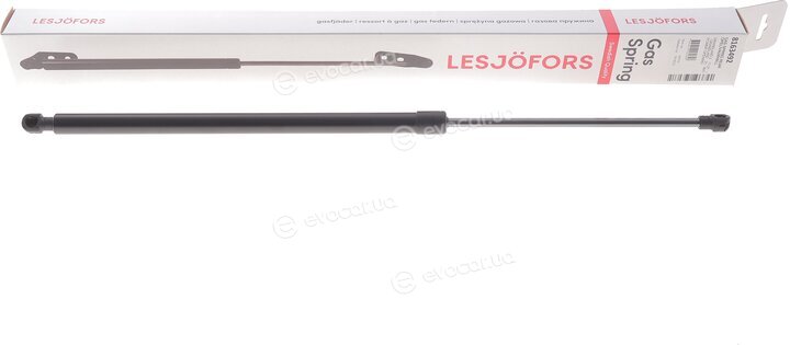 Lesjofors 8163492