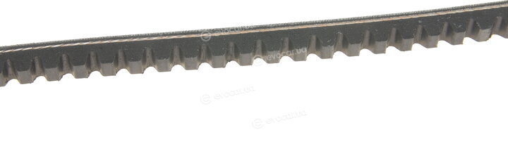 Dayco 13A0975C