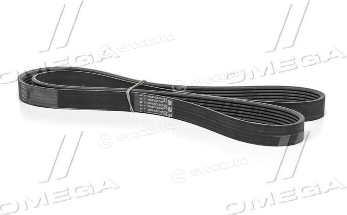 SKF VKMV 6PK1548