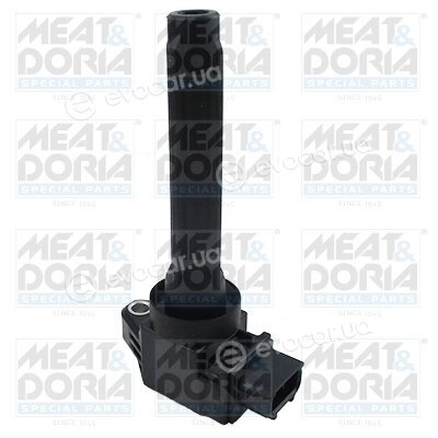 Meat & Doria 10823