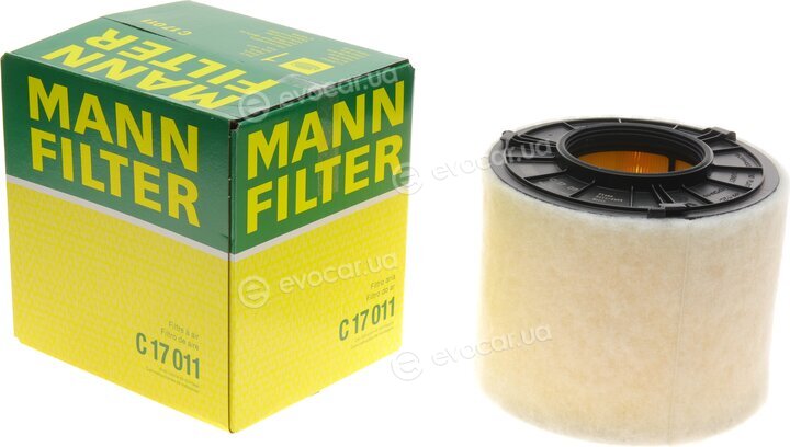 Mann C 17 011